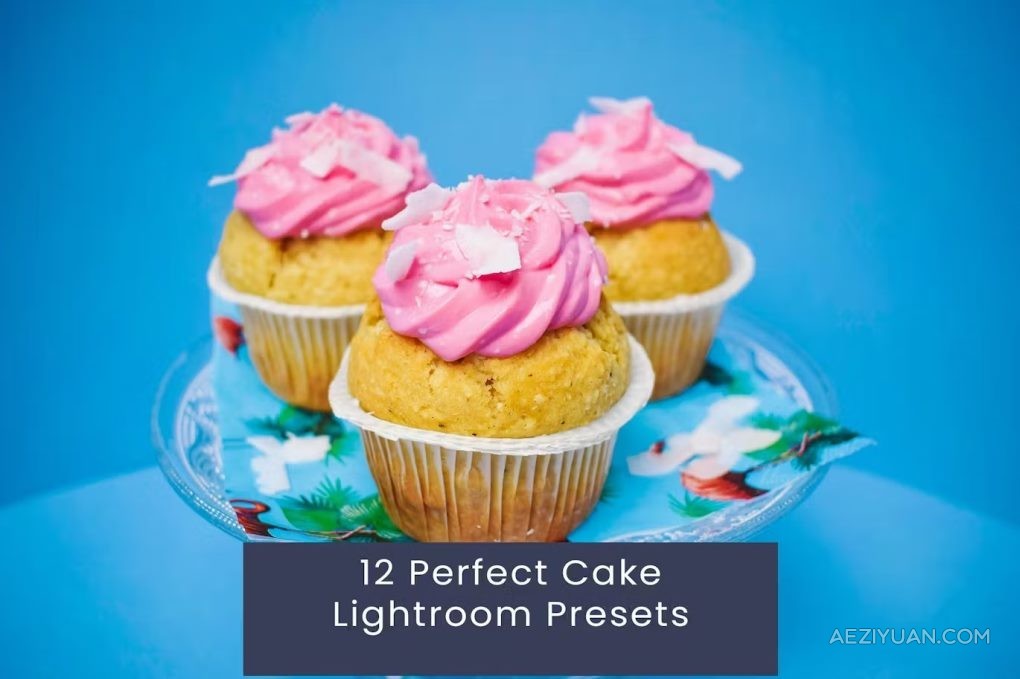 12种蛋糕冰激凌美食调色LR预设 12 Perfect Cake Lightroom Presets蛋糕,冰激凌,美食,调色,预设 - AE资源网 www.aeziyuan.com