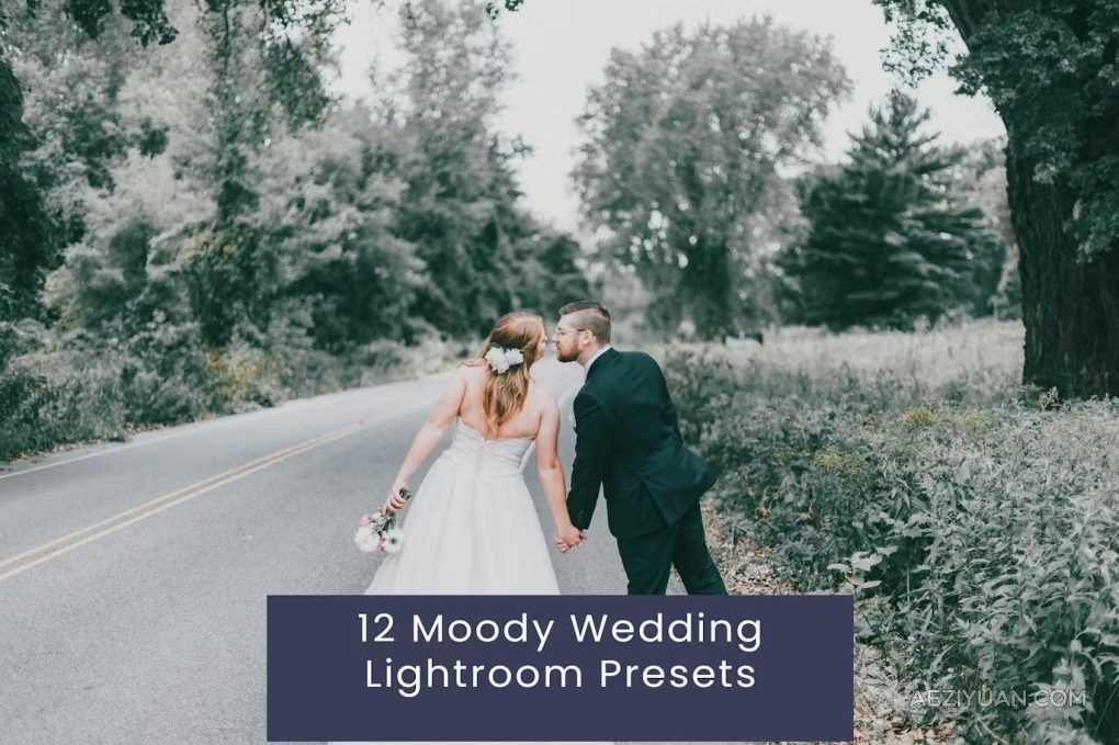 12种情绪电影婚礼人像调色LR预设 12 Moody Wedding Lightroom Presets情绪,电影,人像,调色,预设 - AE资源网 www.aeziyuan.com