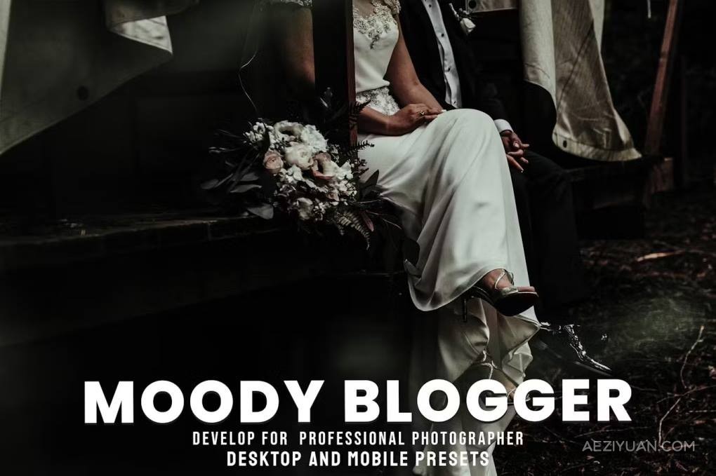 旅行情绪电影色调调色lr预设 Moody Blogger – Desktop and Mobile Presets旅行,情绪,电影,预设,moody - AE资源网 www.aeziyuan.com