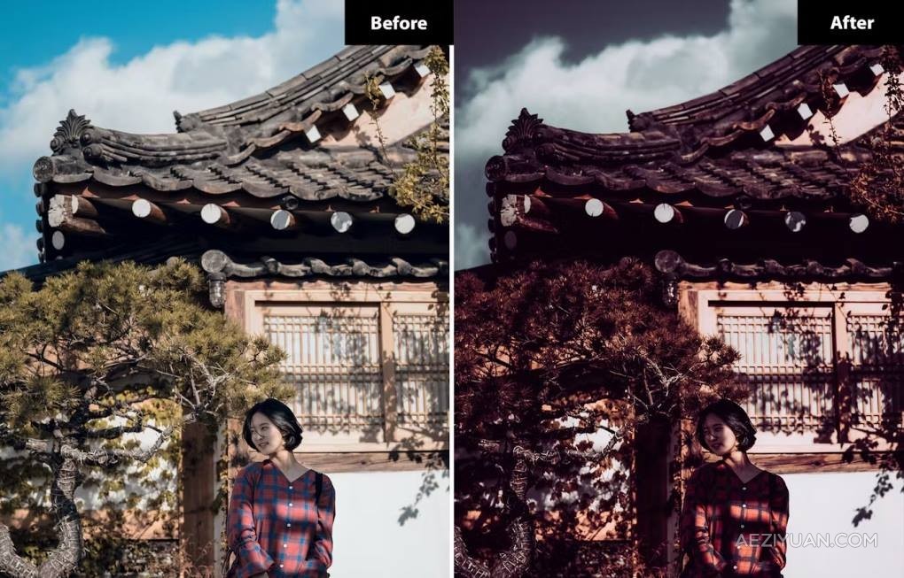 电影色彩Lightroom调色预设 6 POV Cinematic Presets Lightroom and Photoshop电影色彩lr预设,LR调色预设,街拍风光lr预设 - AE资源网 www.aeziyuan.com