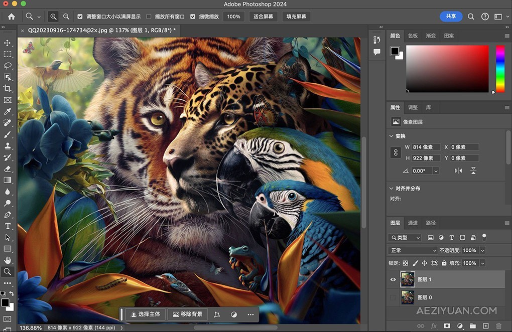 Adobe Photoshop 2024  v25.11（24年7月版）PS 2024正式版 Mac系统版本下载 支持intel/M1/M2/M3adobe,photoshop,2024,正式版,系统 - AE资源网 www.aeziyuan.com