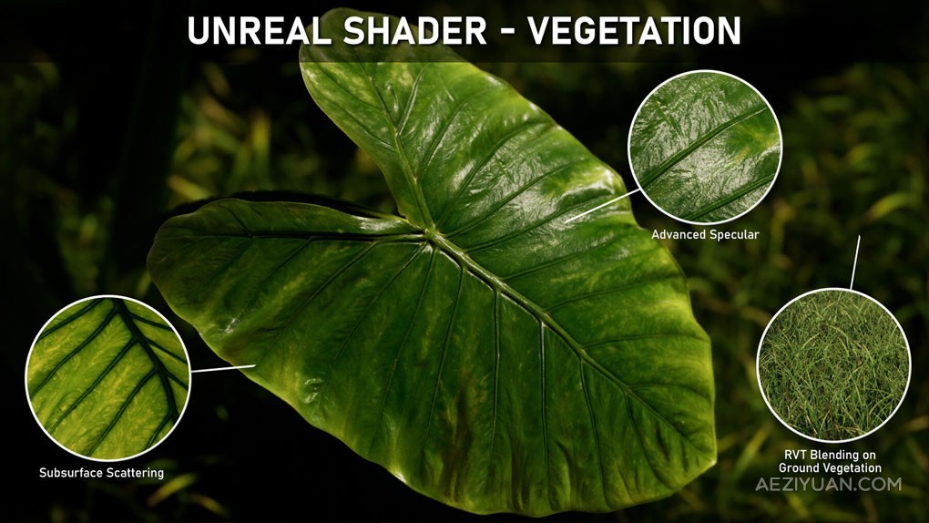 UE5虚幻引擎逼真草叶植被树木制作视频教程 Unreal Shader - Vegetation by Michael Gerard - AE资源网 www.aeziyuan.com