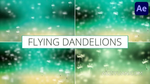 逼真的蒲公英飞行动画适合用于背景屏幕保壁纸-AE模板 Flying Dandelions for After EffectsAE模板,VIP,背景 - AE资源网 www.aeziyuan.com