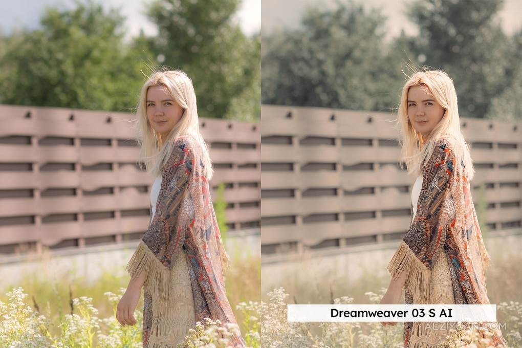 20个艺术情调波西米亚风格的Lightroom预设和LUT调色预设 Boho Style – 20 Lightroom Presets &amp; LUTsLR预设,LUTs,VIP,人物调色,风格调色 - AE资源网 www.aeziyuan.com