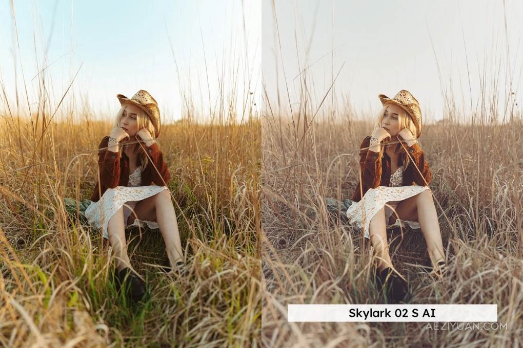 20个艺术情调波西米亚风格的Lightroom预设和LUT调色预设 Boho Style – 20 Lightroom Presets &amp; LUTsLR预设,LUTs,VIP,人物调色,风格调色 - AE资源网 www.aeziyuan.com