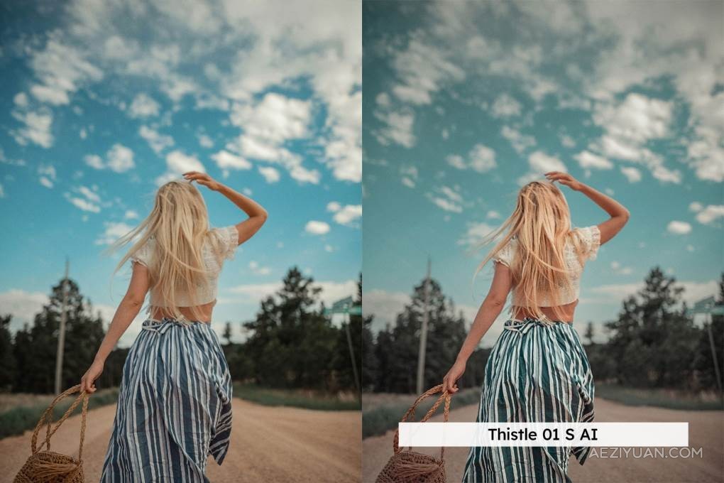 20个艺术情调波西米亚风格的Lightroom预设和LUT调色预设 Boho Style – 20 Lightroom Presets &amp; LUTsLR预设,LUTs,VIP,人物调色,风格调色 - AE资源网 www.aeziyuan.com