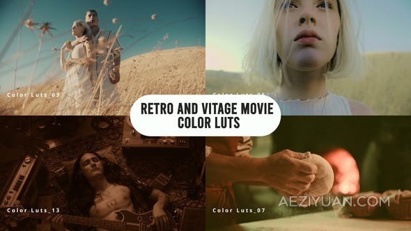 30个专业复古和经典老式电影色彩Luts调色预设下载 Retro and Vintage Movie Color LUTsLUTs,VIP,复古调色 - AE资源网 www.aeziyuan.com