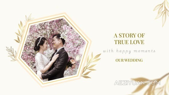 大气优雅婚礼邀请视频企业活动时尚庆典晚宴请柬温馨相册 Our WeddingAE模板,VIP,婚礼,相册 - AE资源网 www.aeziyuan.com