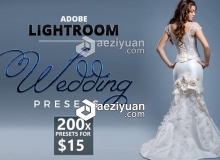 200个专业婚礼婚纱摄影Lightroom预设200 Lightroom Wedding Presets