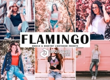 柔和珊瑚粉色调人像LR预设+手机版APP预设 Flamingo Pro Lightroom