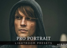 10专业人像Lightroom的预设第1卷PRO PORTRAIT LIGHTROOM PRESETS VOLUME 1