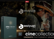 电影质感Lr预设 Cine Collection - Lightroom Presets