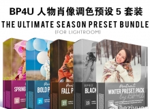 国外大师级BP4U人物肖像LR预设5套装 Ultimate Season Preset Bundle