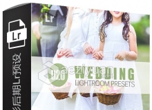 620组专业婚礼婚纱摄影后期LR预设 620 Wedding Lightroom Presets Vol2