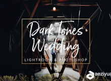 暗色调婚礼Lightroom预设/ACR预设 Dark Film Tones Wedding Presets