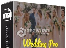 15个高级婚礼Lightroom预设 Premium Wedding Lightroom Presets