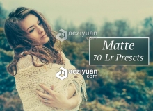 70组磨砂效果Lightroom预设 70 Matte Lr presets