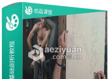 男性人物素描绘画基础剖析视频教程第二季