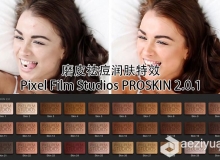 磨皮祛痘润肤特效FCPX插件 Pixel Film Studios PROSKIN 2.0.1 含教程