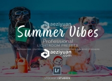 夏季风景人像Lightroom预设 Summer Vibes Pro Lightroom Template