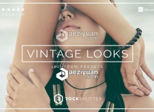 复古怀旧胶片Lightroom预设Vintage Looks Lightroom Presets