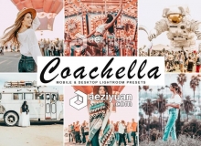 狂欢节旅拍人像胶片Lightroom预设+手机版lr预设Coachella Lightroom