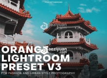 INS橙绿流行色调LR预设+移动APP预设 PH Orange Lightroom Presets V3