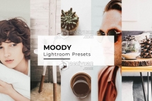 10个电影胶片Moody Lightroom预设 10 Moody Lightroom Presets