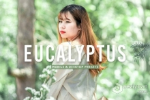 清新明亮胶片人像后期Lightroom预设 Eucalyptus Pro Lightroom Presets