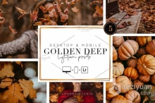 深秋风光人像金色调Lightroom预设/手机APP滤镜 GOLDEN DEEP – Lightroom Presets