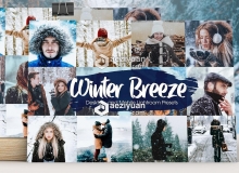 冬季风光人像后期Lightroom预设/手机APP滤镜 Winter Breeze Lightroom Presets