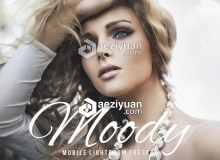 旅拍婚礼人像艺术摄影Moody Lightroom预设+移动手机版APP滤镜