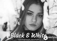 23组黑白Lightroom预设 23 Black & White Lightroom Presets