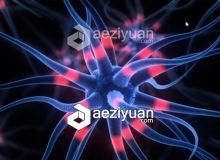 C4D大脑神经传输动画视频教程 Brain Cell Animation Cinema 4D Tutorial