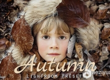 50组秋季摄影后期Lightroom预设 50 Autumn Lightroom Presets