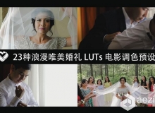 23种浪漫唯美婚礼 LUTs 电影调色预设 LAPARDIN WEDLUTS