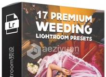 17组专业婚礼Lightroom预置 Premium Wedding Lightroom Presets