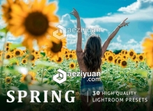 30组风景人像Lightroom预设 Spring Lightroom Presets