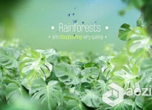 热带雨林背景文字字幕标题动画AE模板 Videohive The Rainforests Titles