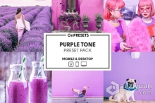 时尚紫色调风光人像Lightroom调色预设 OnPresets- PURPLE TONE