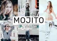 石绿色旅拍人像胶片Lightroom预设+手机版lr预设 Mojito Lightroom