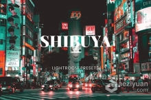 日本东京涩谷区街拍建筑Lightroom预设与移动LR预设 Shibuya Lightroom Presets