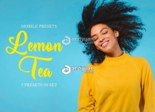 清晰通透去灰润色Lightroom预设/移动APP预设Lemon Tea Mobile Presets