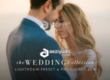 独家婚礼电影胶片Lightroom预设 30 Wedding Pro Lightroom Presets