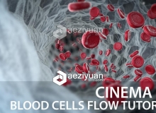 C4D血细胞流动特效动画视频教程 Blood cells flow Cinema 4D Tutorial