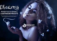 30组梦幻人像摄影调色LR预设 30 Dreamy Lightroom Presets