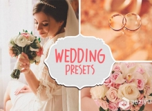 80婚礼Lightroom预设 80 Wedding Lightroom Presets Professional Collection