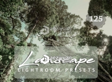 125个风光电影色彩手机版Lightroom预设 Landscape Cinema Lightroom