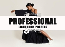 40组专业人像婚礼Lightroom预设 professional lightroom presets