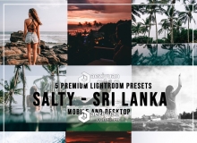 INS风格旅行者4套旅拍LR预设合集19 travel salty Ligthroom Presets